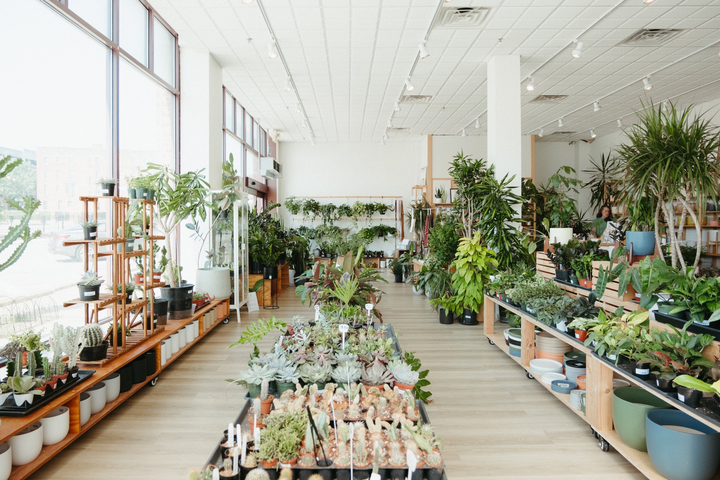 Home | Planted