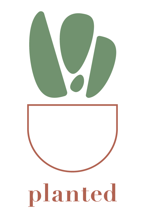 Home | Planted